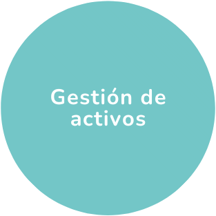 Gestion de activos